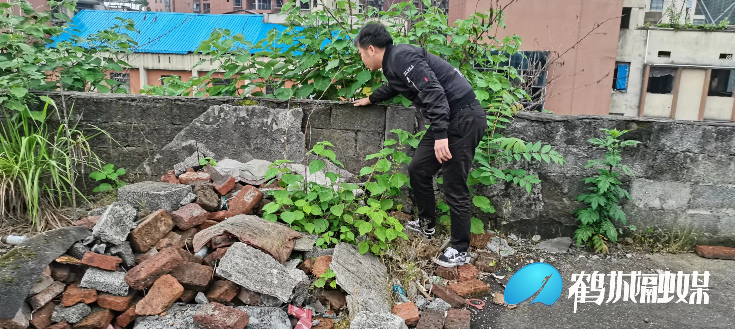 图片12.png