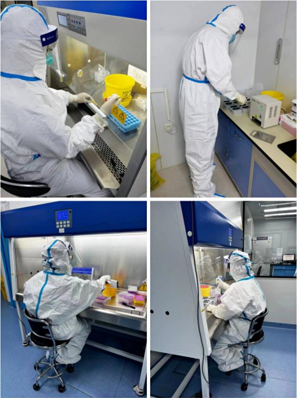 北京积水潭医院开设4个核酸实验室，24小时进行核酸检测。受访者供图