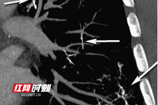 微信图片_20220523145341.jpg