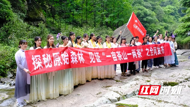 图片11.jpg 图片11.jpg