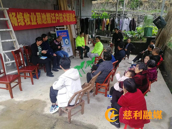 图片1_副本.png