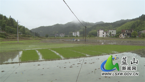 微信图片_202205241740281.jpg 微信图片_202205241740281.jpg