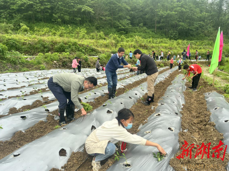 一个月，帮扶工作队学会了洛塔土话