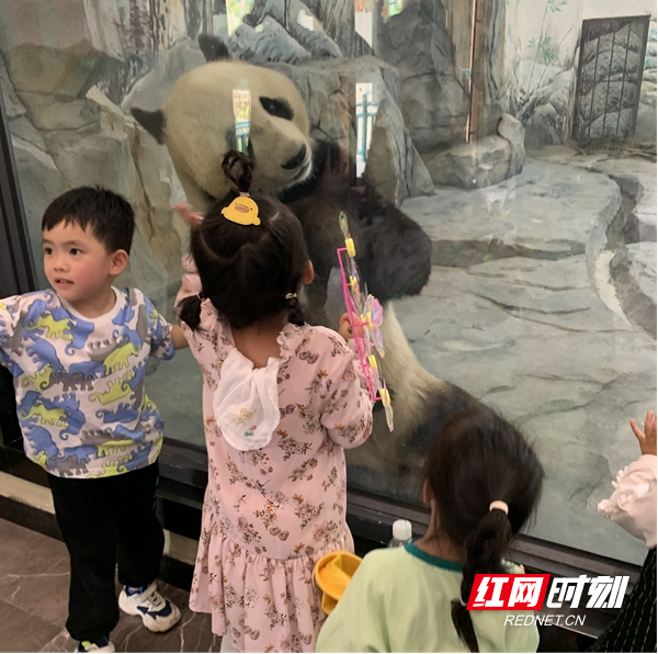 图片41.jpg