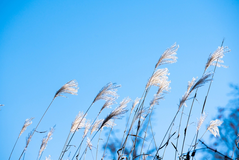 61bacb6846473_副本.jpg 61bacb6846473_副本.jpg