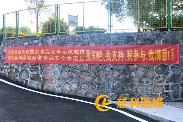 慈利融媒水印_副本2.png