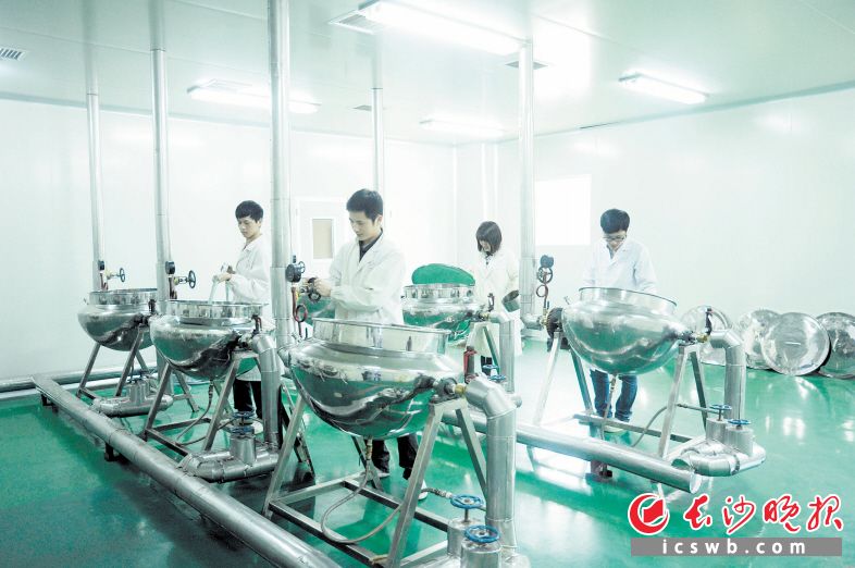 湖南省中医院的药学工作者们在专心致志地研制自制药。医院供图