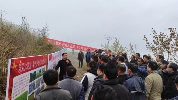 图片5.jpg