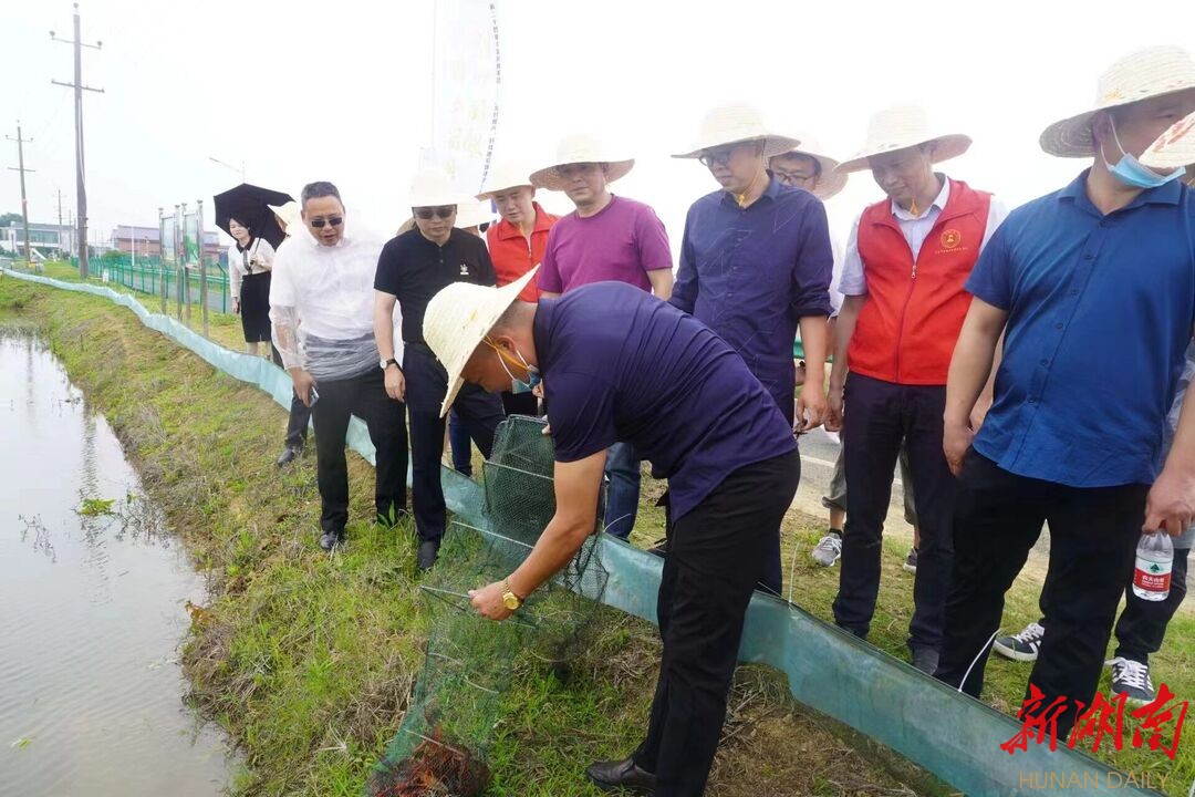 科技惠农，助力望城走出“美味”致富路