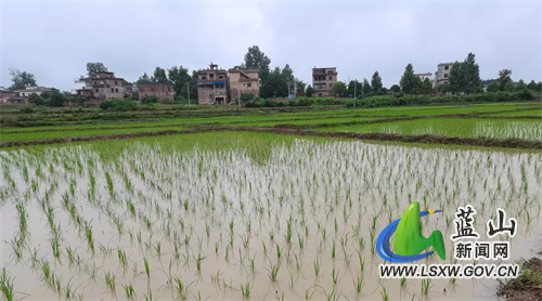 eefb84cdab555dcf7b22009e69088ce6.jpg eefb84cdab555dcf7b22009e69088ce6.jpg