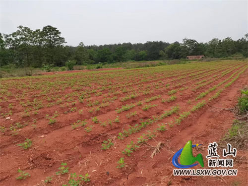 dd896bcd4f474dad7305bd7ae77d5a27.jpg dd896bcd4f474dad7305bd7ae77d5a27.jpg