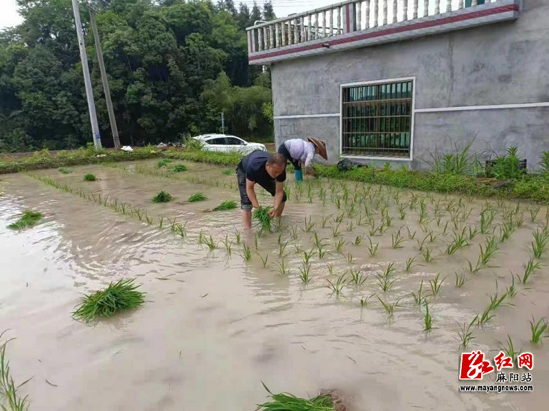 大桥江.jpg