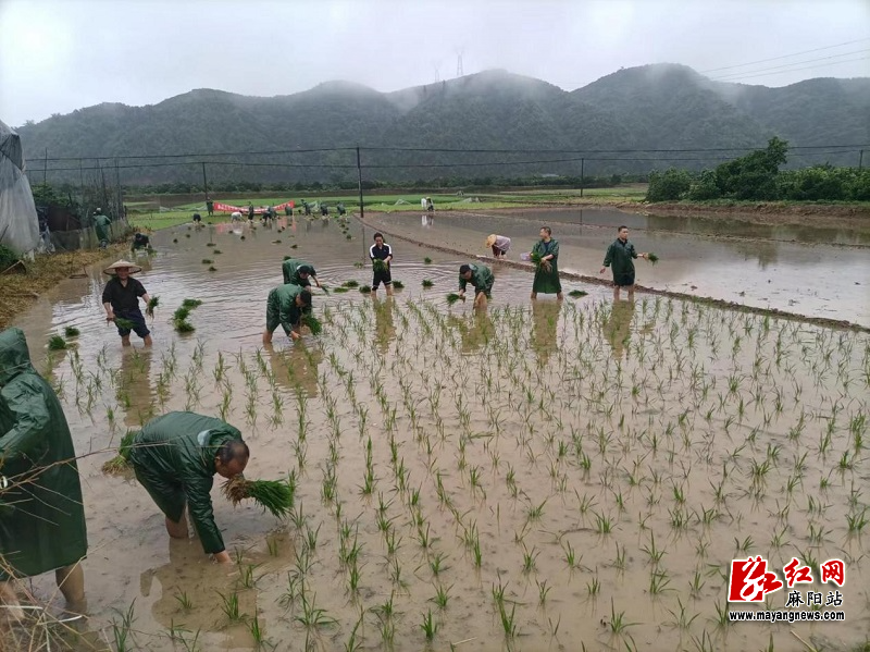 应急.jpg