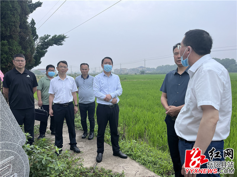 吴光文听取清水村违建墓地整治情况介绍_proc_副本.jpg