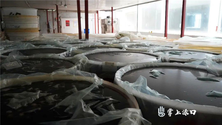 微信图片_20220527152522.jpg