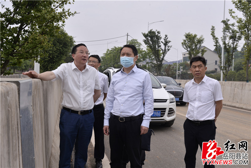 吴光文现场查看新开镇违建墓地整治情况_副本.jpg