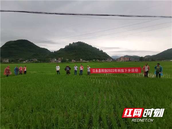 5月30日，江永县“最美科技工作者”翟子超为回岗村种粮大户现场培训水稻田间管理技术.jpg