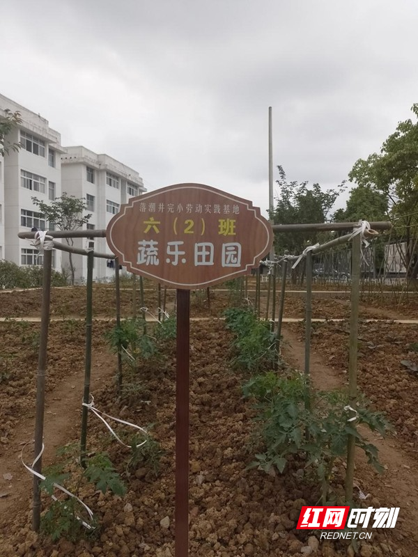 微信图片_20220530185822.jpg