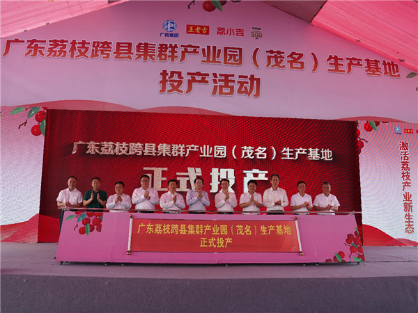王老吉荔小吉生产基地在茂名投产 全国最大荔枝饮料生产基地建成