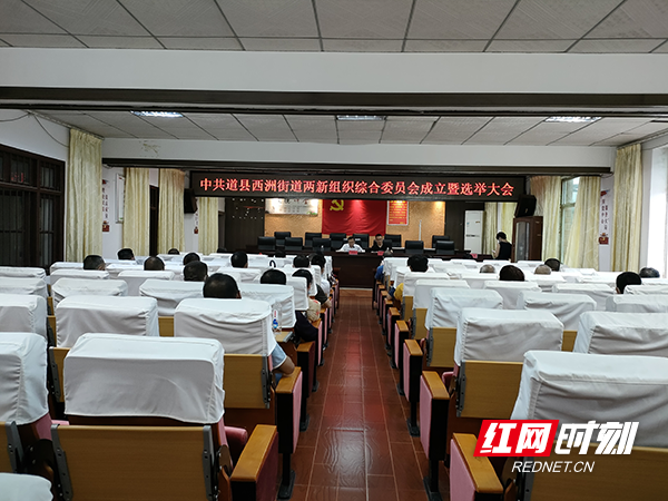 道县西洲街道两新组织综合党委成立暨选举大会现场.png 道县西洲街道两新组织综合党委成立暨选举大会现场.png