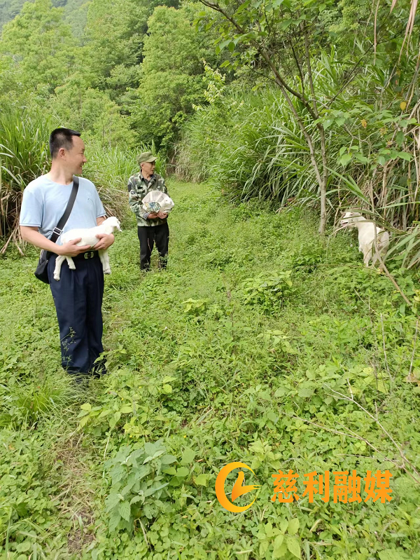 3.png 3.png