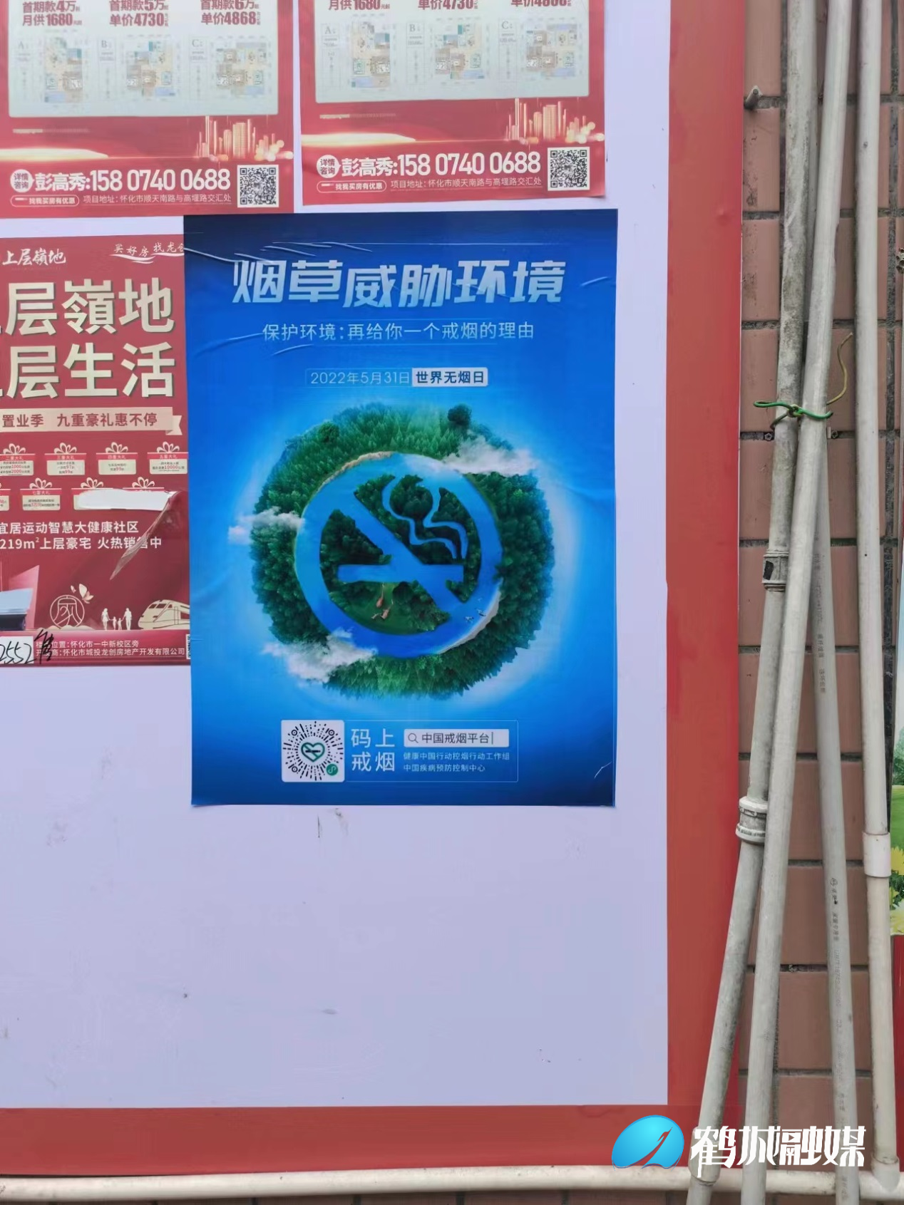 图片19.png