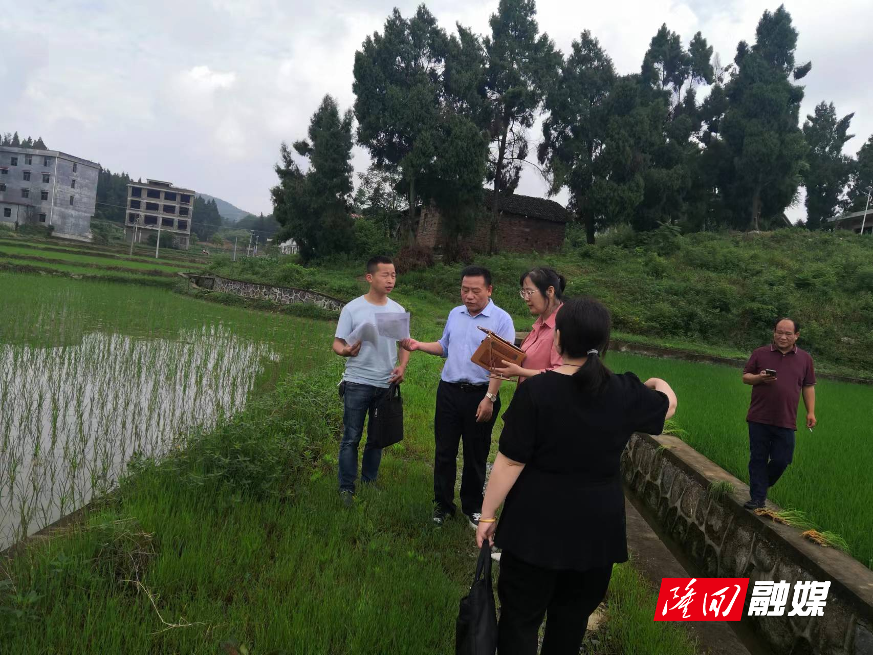 微信图片_20220601101255.jpg 微信图片_20220601101255.jpg