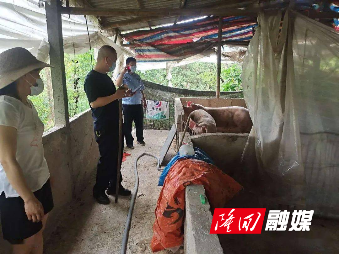 8d24beea17d540b69dba999c7d661203.jpeg 8d24beea17d540b69dba999c7d661203.jpeg