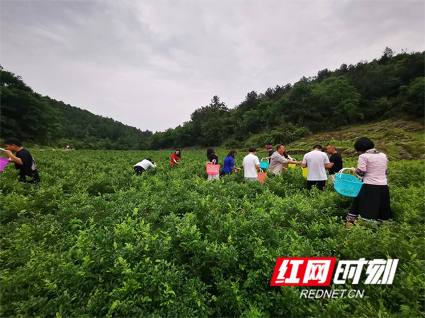 a98c13269ac819ac05e2ab45083fc28_副本.jpg