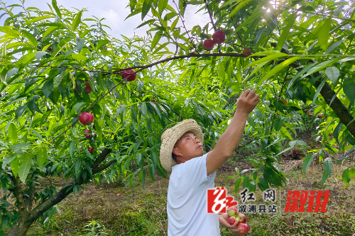 微信图片_20220602100154.jpg