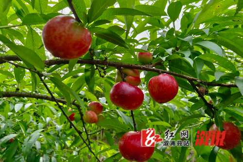 微信图片_20220602100158.jpg