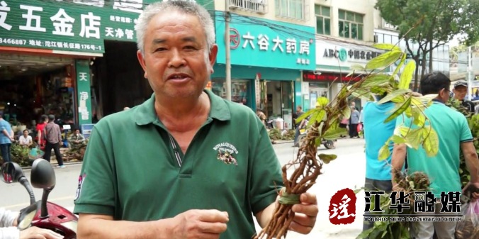 微信截图_20220603185636.png