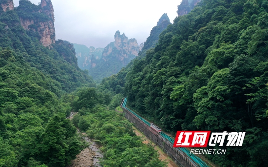 DJI_0085_副本.jpg