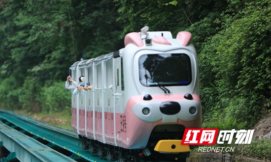 1Q8A0952_副本_副本.jpg 1Q8A0952_副本_副本.jpg