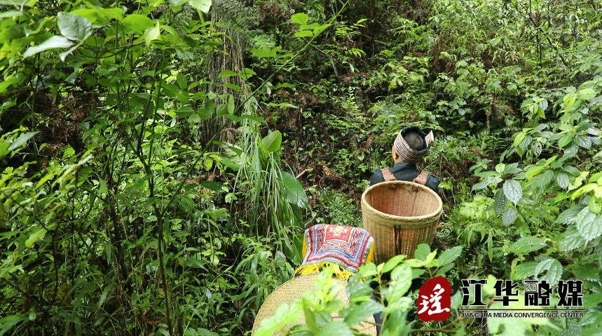 微信截图_20220604095322.png