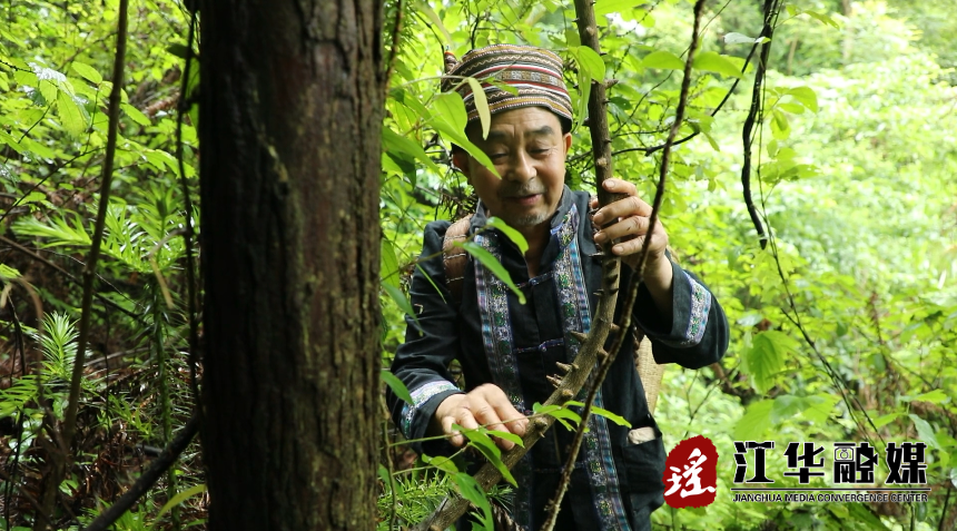李珍清.png