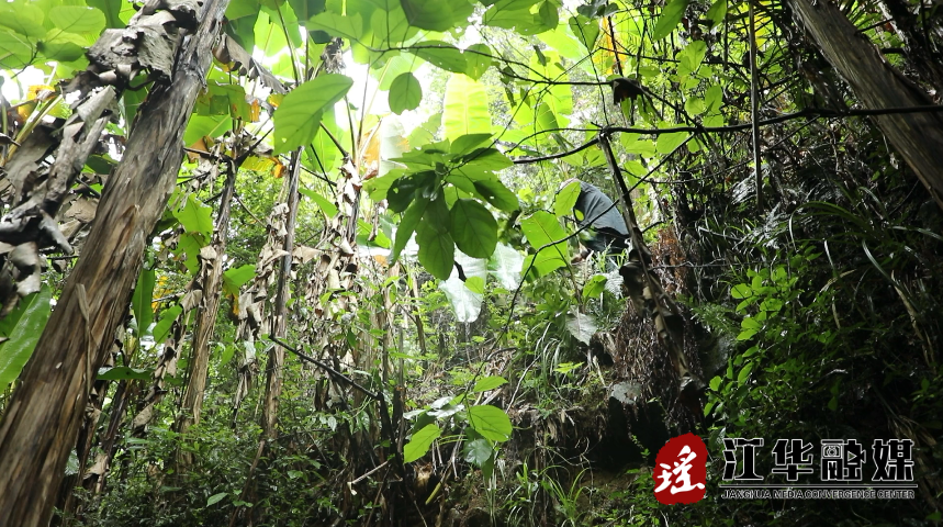 微信截图_20220604095645.png