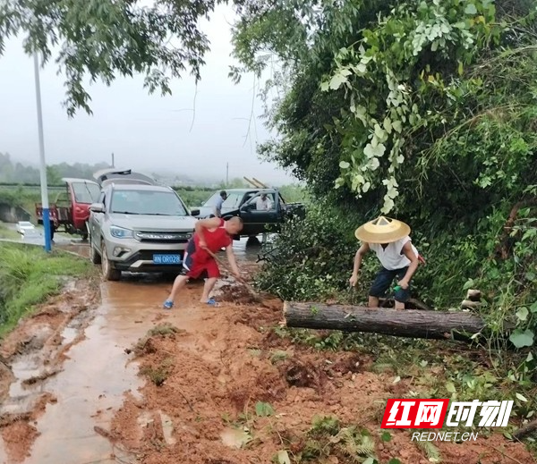 图片13.jpg