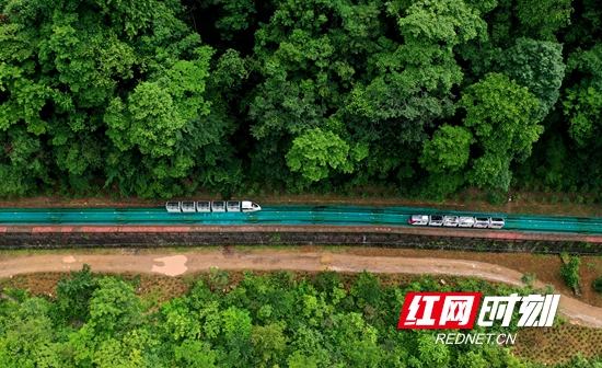 DJI_0196_副本.jpg