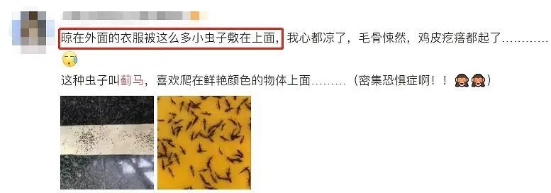 提醒!最近少穿这种颜色的衣服出门