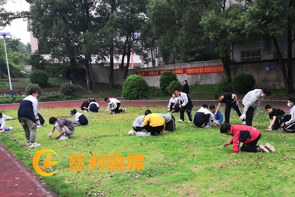 慈利融媒水印_副本.png