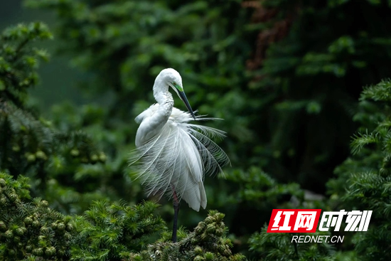 微信图片_20220606112647.jpg