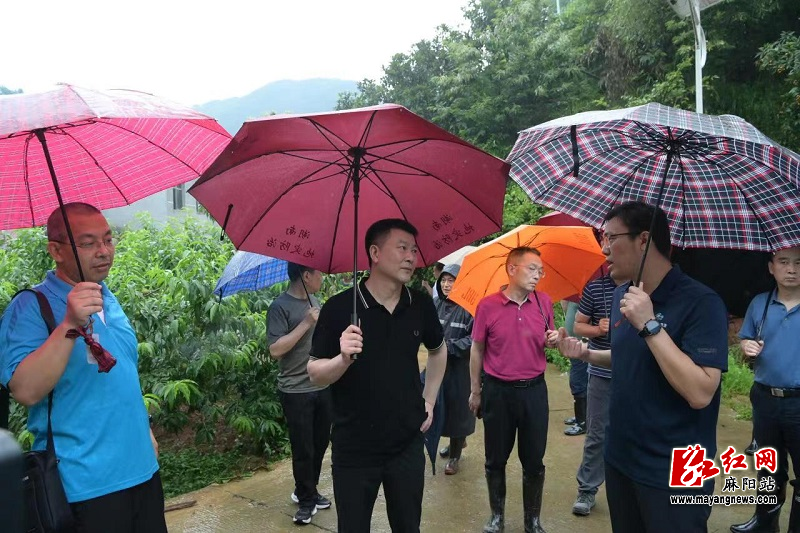 微信图片_20220606172716.jpg