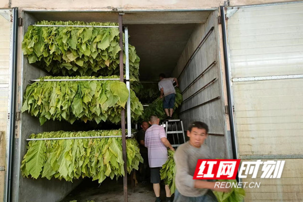 图片4_副本.jpg