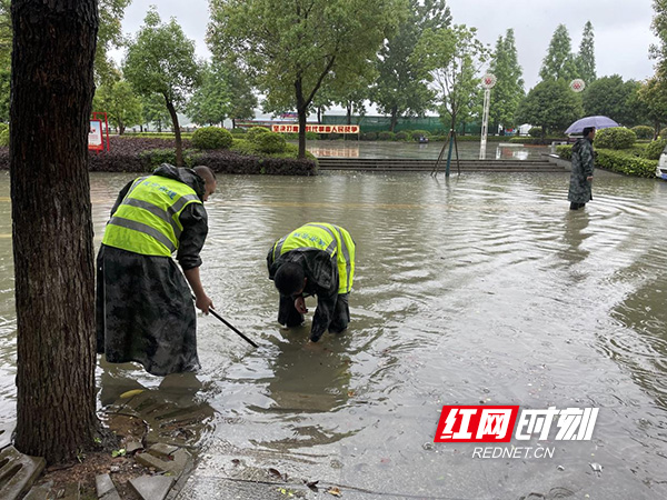 图片19.jpg