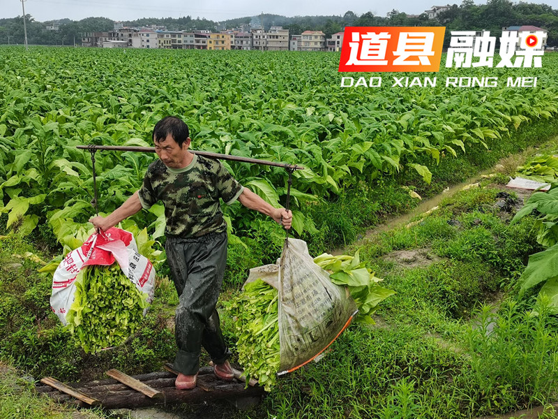 QQ图片20220602154942.jpg