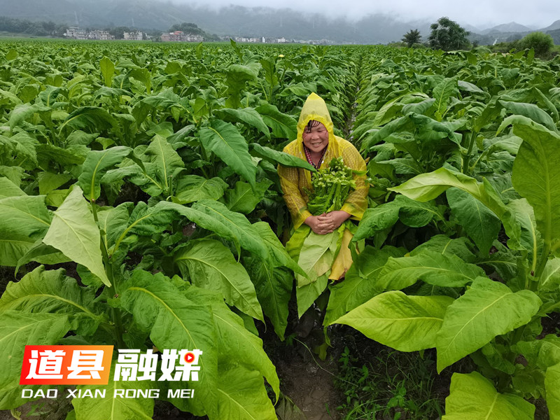 QQ图片20220602154938.jpg