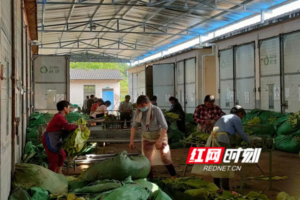 图片3_副本.jpg