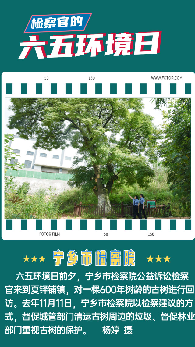 海报|检察官的六五环境日