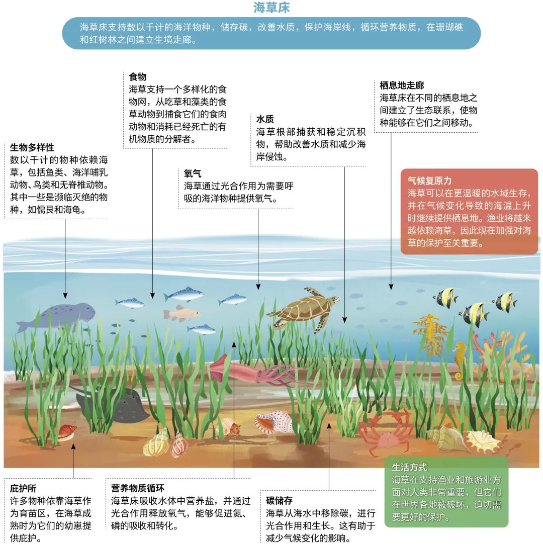 海洋环保作品|平面|海报|NTIAN乃天 - 原创作品 - 站酷 (ZCOOL)